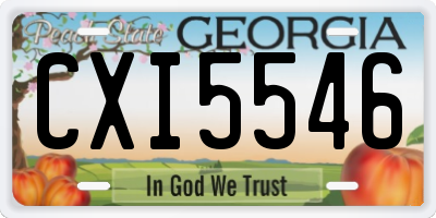GA license plate CXI5546