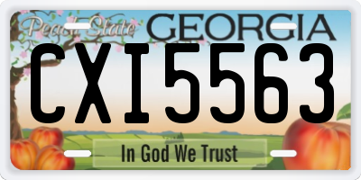 GA license plate CXI5563
