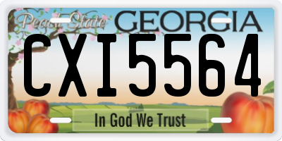 GA license plate CXI5564