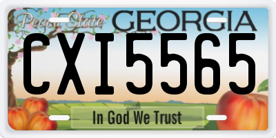 GA license plate CXI5565