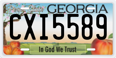 GA license plate CXI5589