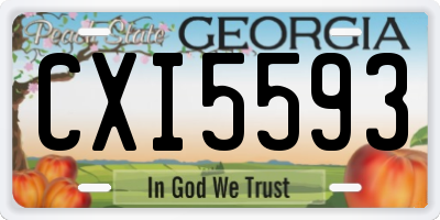 GA license plate CXI5593