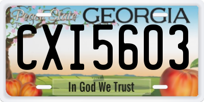 GA license plate CXI5603