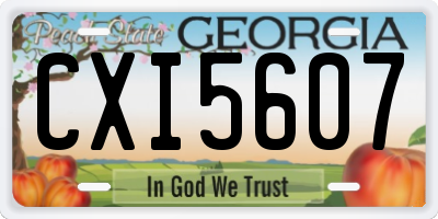 GA license plate CXI5607