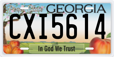GA license plate CXI5614