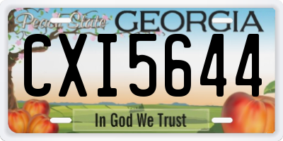 GA license plate CXI5644