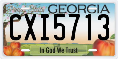 GA license plate CXI5713