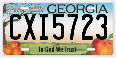 GA license plate CXI5723