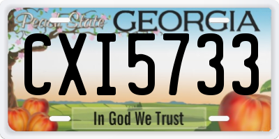 GA license plate CXI5733