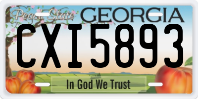 GA license plate CXI5893