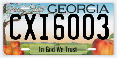 GA license plate CXI6003