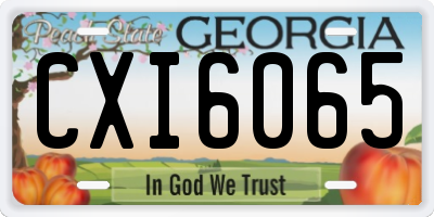 GA license plate CXI6065
