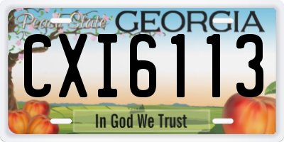 GA license plate CXI6113