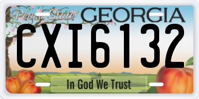 GA license plate CXI6132
