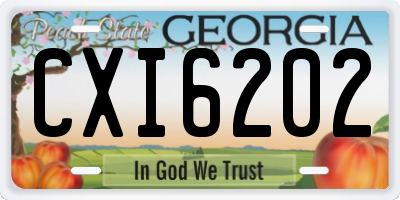GA license plate CXI6202