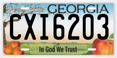 GA license plate CXI6203