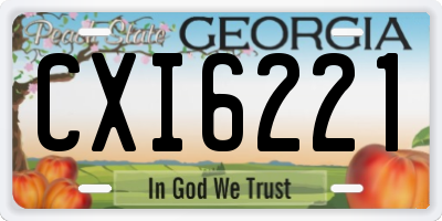 GA license plate CXI6221