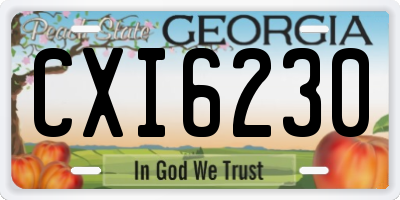 GA license plate CXI6230