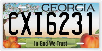 GA license plate CXI6231