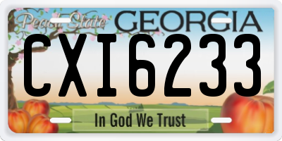 GA license plate CXI6233