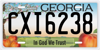 GA license plate CXI6238