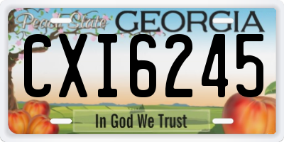 GA license plate CXI6245