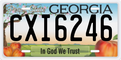 GA license plate CXI6246