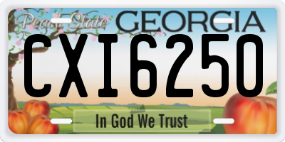 GA license plate CXI6250