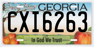 GA license plate CXI6263