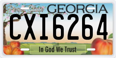 GA license plate CXI6264