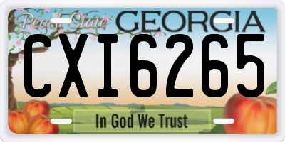 GA license plate CXI6265