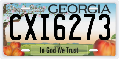 GA license plate CXI6273