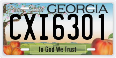 GA license plate CXI6301