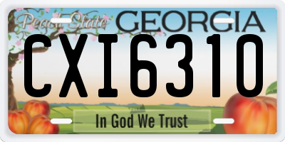 GA license plate CXI6310