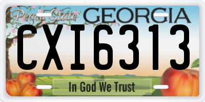 GA license plate CXI6313