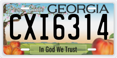 GA license plate CXI6314