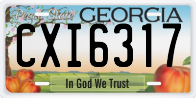 GA license plate CXI6317