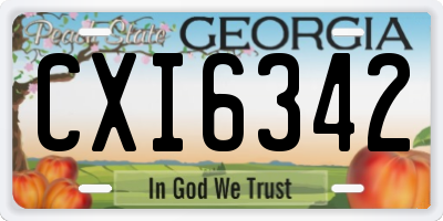 GA license plate CXI6342