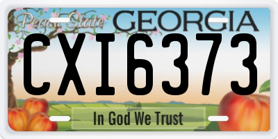 GA license plate CXI6373