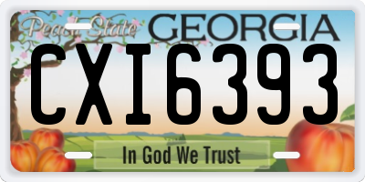 GA license plate CXI6393