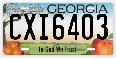 GA license plate CXI6403