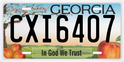 GA license plate CXI6407