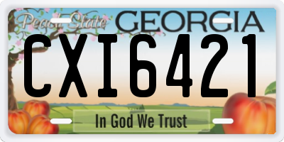GA license plate CXI6421