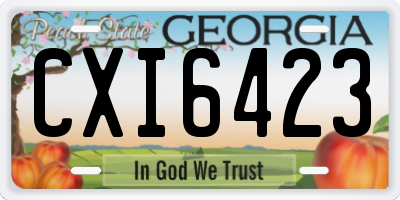 GA license plate CXI6423