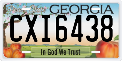 GA license plate CXI6438