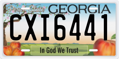 GA license plate CXI6441
