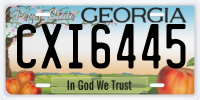 GA license plate CXI6445