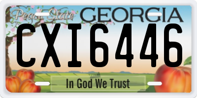 GA license plate CXI6446