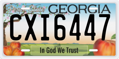 GA license plate CXI6447