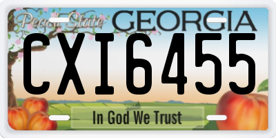 GA license plate CXI6455
